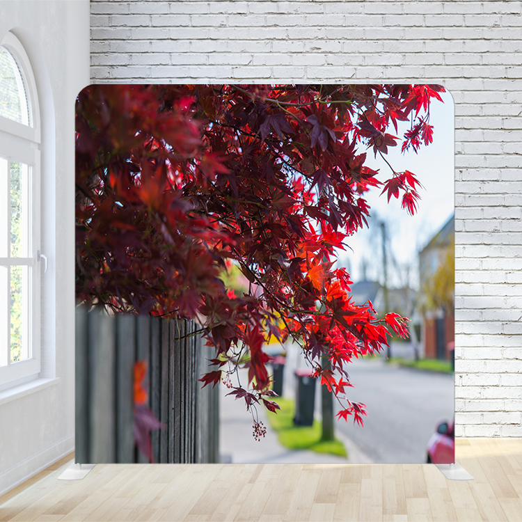 8X8 Pillowcase Tension Backdrop -Red Leaves Street
